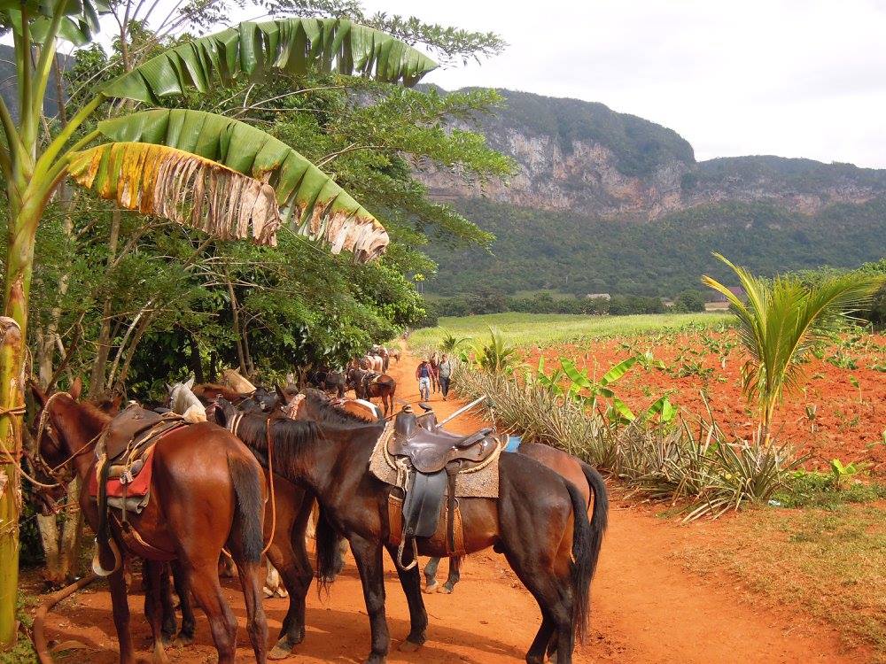 Horseback Riding in Cuba