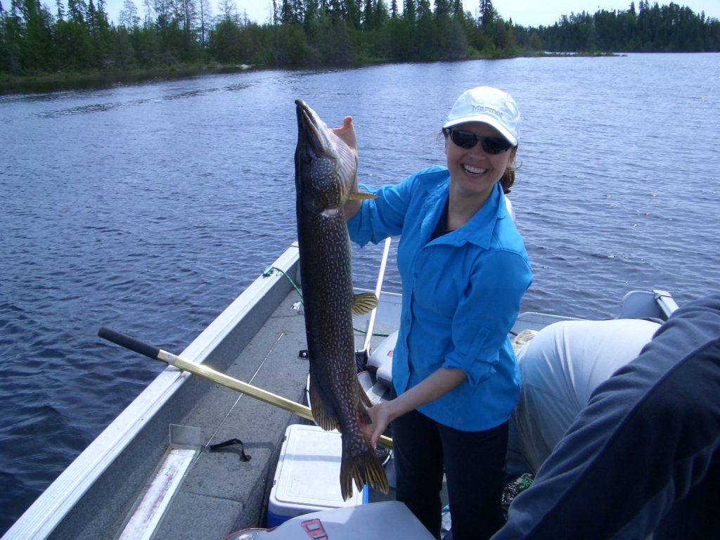 38" Walleye at Guardian Eagle Resort, Ontario